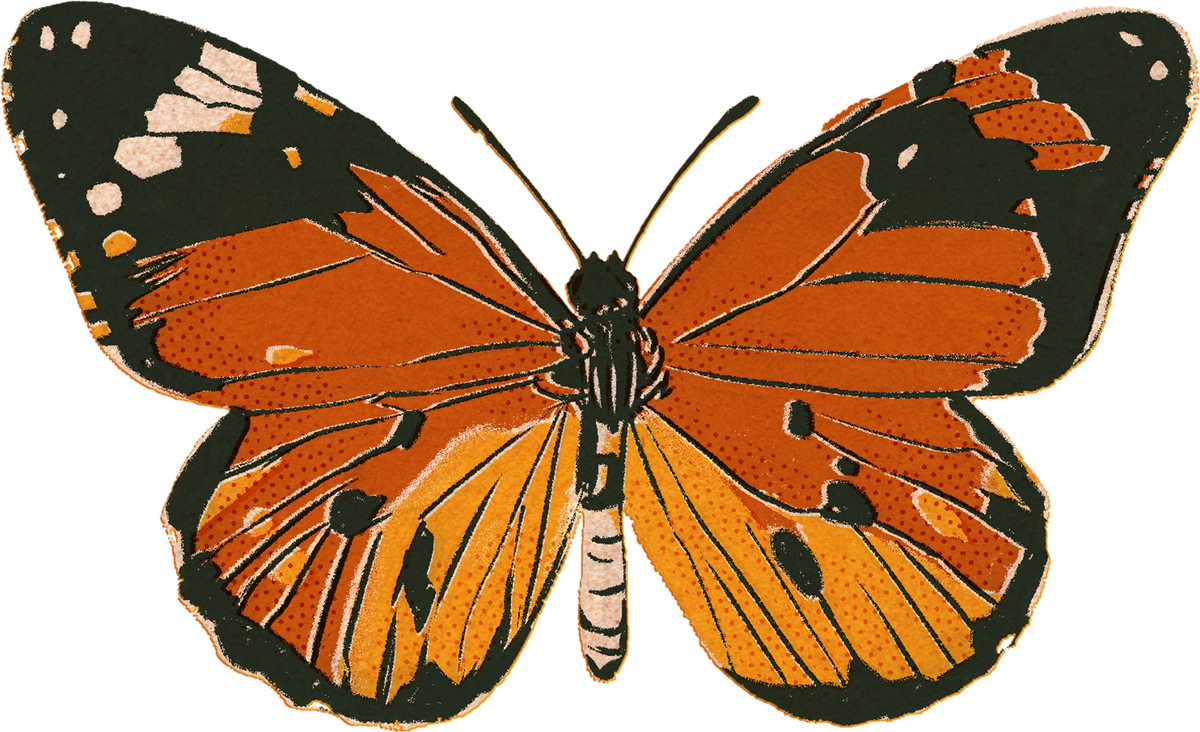 Textured Riso Butterfly 